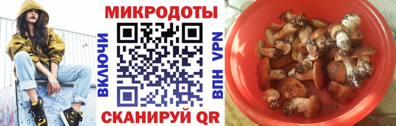 Псилоцибиновые грибы мицелий  сколько стоит  Долинск 